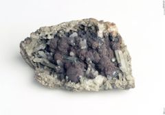 Foto von Apatit (NHMW-MIN-Aa728)